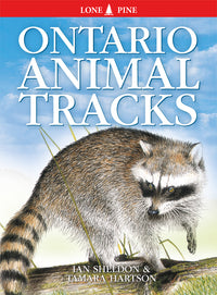 Lone Pine Ontario Animal Tracks